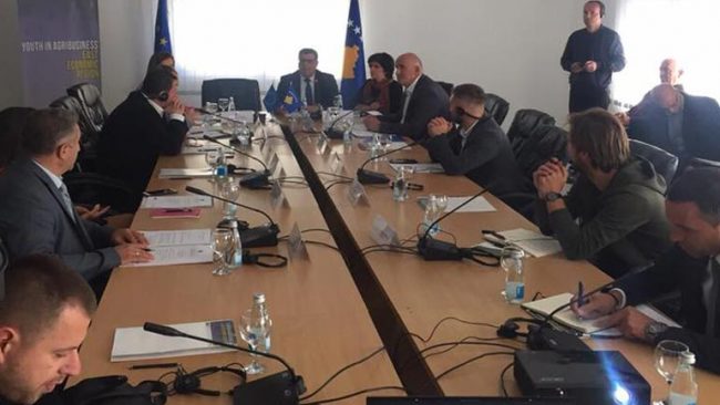 Vitia përfituese e projektit “Të rinjtë në Agrobiznes-Regjioni Ekonomik Lindor”