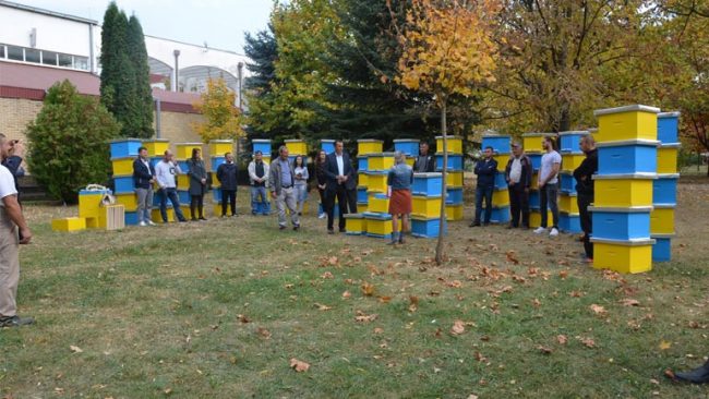 Shpërndahen 100 koshere të bletëve për bletarët e Kamenicës