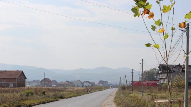 Filloi mbjellja e drunjve dekorativ përgjatë dy anëve të rrugës kryesore në Smirë