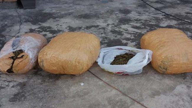 Arrestohet një i dyshuar dhe sekuestrohen mbi pesë kilogramë marihuanë