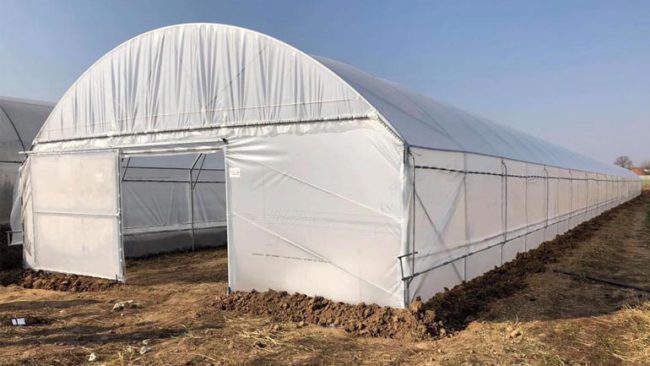 Vitia dhe Fondacioni Kosovë-Luksemburg po vazhdojnë bashkëpunimin në realizimin e  projekteve të përbashkëta.