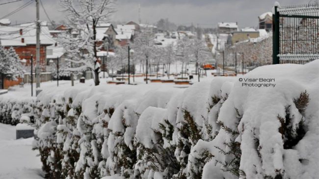 Eco-Higjiena kërkon mirëkuptimin e klientelës, të reshurat e borës vonojnë shërbimin e tyre
