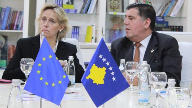 ALDA konfirmon mbështetjen për Gjilanin dhe komunat tjera në zhvillim ekonomik