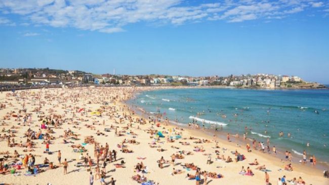 Temperatura të larta në Australi, alarm për rrezik