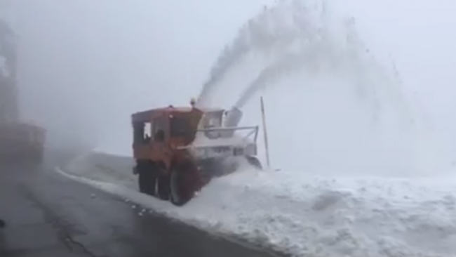 MIT: Të gjitha rrugët të kalueshme (video)