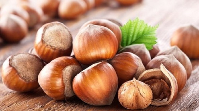 Turqia numër një në botë për eksportimin e lajthisë