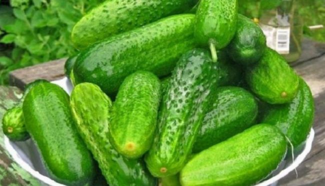 Sigurisht nuk e keni ditur, kastraveci sjell përfitime të jashtëzakonshme