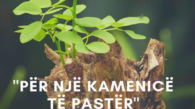 Kamenica me aksion pastrimi me rastin e Ditës së Tokës