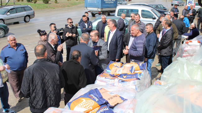Gjilani furnizon me farë misri për mbjelljet pranverore, 572 fermerë aplikues