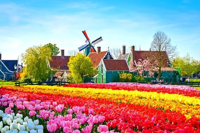 Holanda vendi i parë në botë që lejon eutanazinë