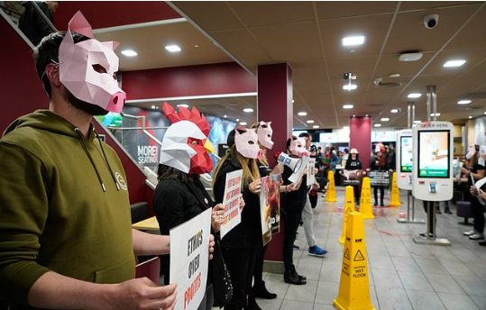 Vegjetarianët protestojnë tek “McDonald”, kundër therrjes së kafshëve