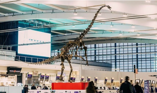Dinozauri i vjetër del në ankand, vlera mbi 1.5 milionë euro