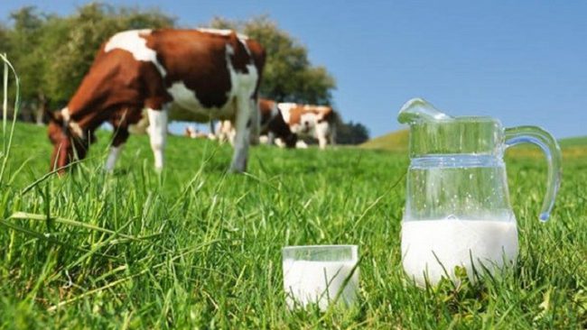 Fauna lëshon vërtetime për fermerët e Komunës së Gjilanit, përfitues të subvencioneve nga MBPZHR
