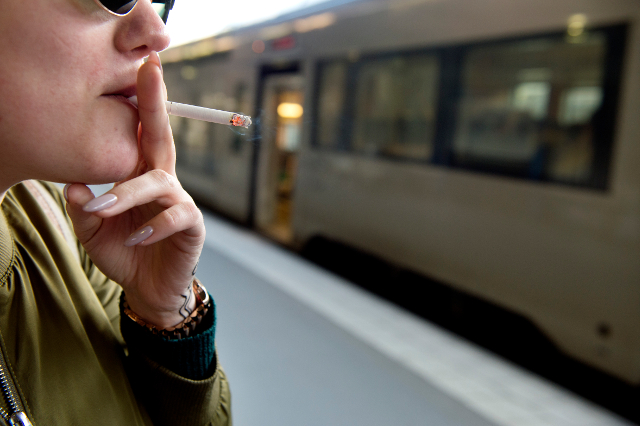 Zvicra ndalon pirjen e duhanit në tren