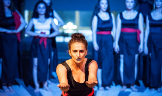Sonte mbyllet Festivali i Artisteve dhe Aktivisteve
