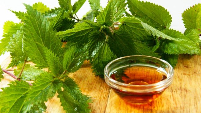 Parandalojeni aneminë në mënyrë natyrale, dy përbërësit ideal