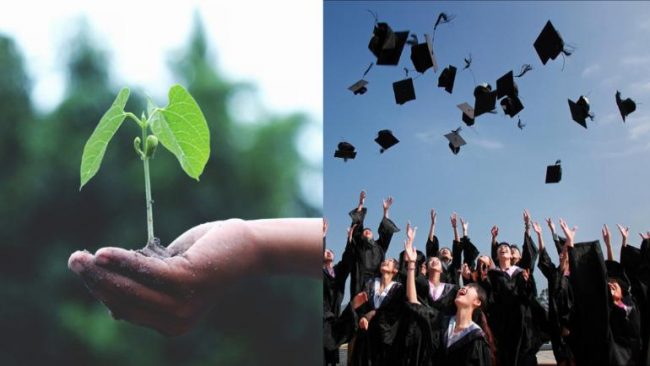 Vendi ku për të diplomuar studenti duhet t’i mbjellë dhjetë pemë!