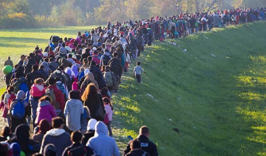 Dita Botërore e Refugjatëve
