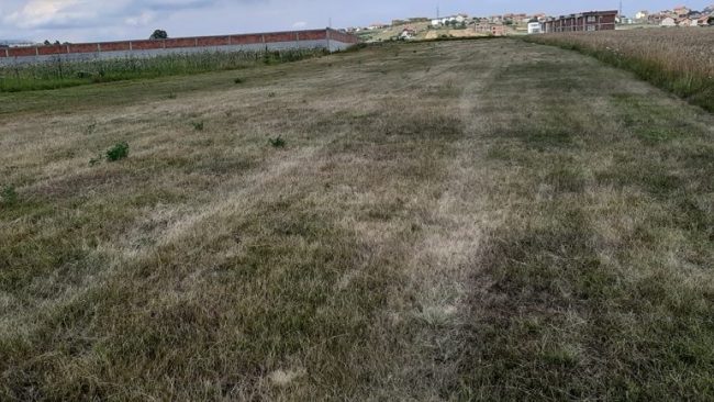 A janë të mira fushat me bari sintetik, vjen studimi nga Gjermania?!