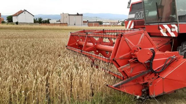 Gjilani ka nisur zyrtarisht fushatën e korrje-shirjeve, gjendja e grurit më e mire se sa pritshmëritë