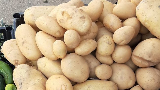 Patatja “mbretëresha” e bimëve barishtore, ndihmon shumë trupin tuaj