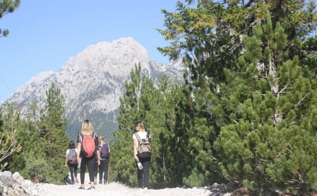 Ecja zvogëlon për 39% rrezikun nga kanceri i zorrës së trashë