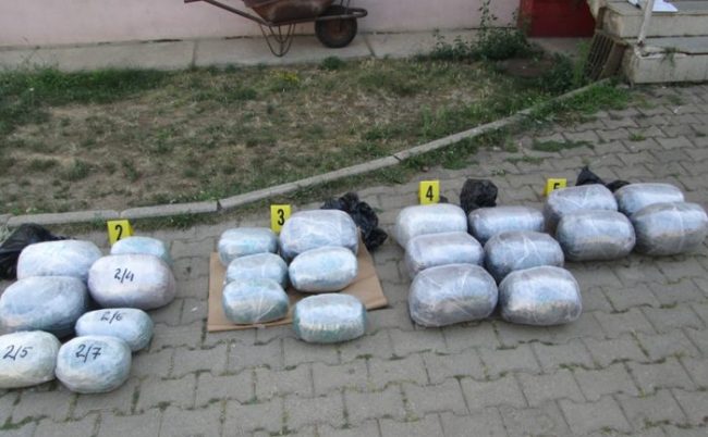 Policia e Kosovës konfiskon 31 kilogram substancë narkotike të llojit Marihuanë
