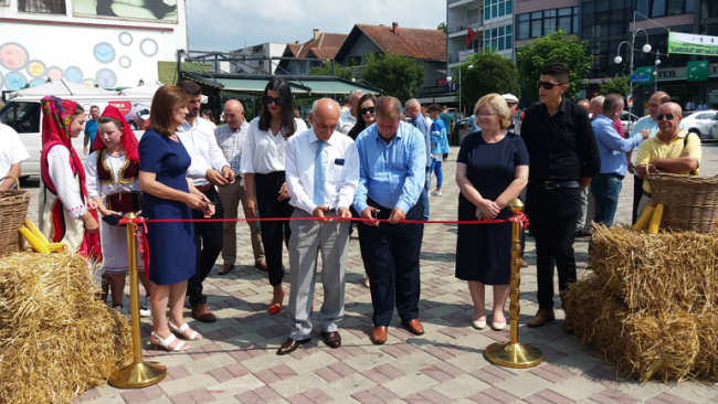 Për nderë të “Ditëve të Diasporës” u hap Panairi “Ti ruajmë vlerat tona tradicionale”