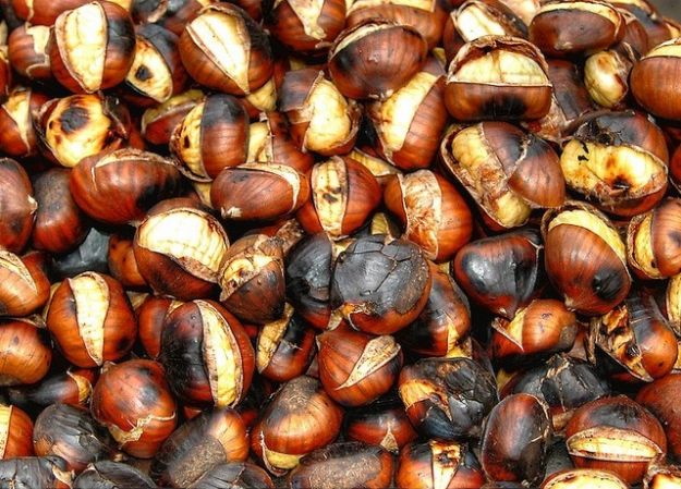 Gështenja dhe të mirat e saj në shëndetin e njeriut
