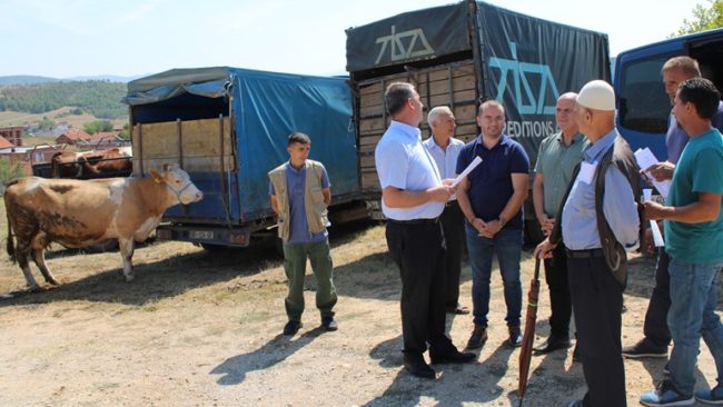 Gjilani shpërdan pesë krerë gjedhesh për farmerët, donacion i shkollës së agrobiznesit