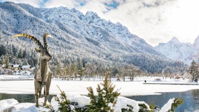 Pamje madhështore nga Sllovenia, po bie borë sikur në filma