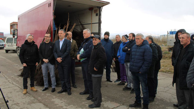 Gjilani shpërndan fidane të arrës për 22 fermerë për ngritjen e 15 hektarëve