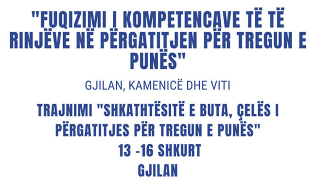 Trajnim katërditor për të rinjtë me temën “Shkathtësitë e buta, çelës i përgatitjes për tregun e punës”