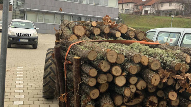 Raportohen raste të transportit ilegal të druve, shkatërrim pylli, kontrabandë me dru