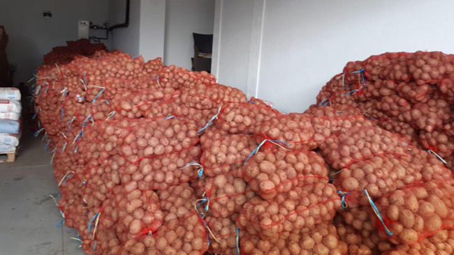 Dhuron 24 mijë kilogram patate për qytetarët në nevojë të komunës së Vitisë