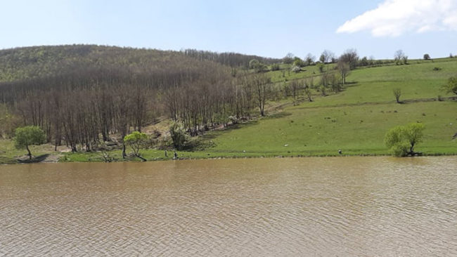 “Ecohigjiena” pastron ambientin përreth Liqenit të Livoçit
