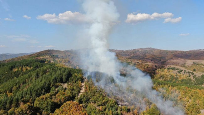 Kastrati kërkon nga qytetarët të mos shkaktojnë zjarre të cilat e dëmtojnë natyrën e Kamenicës