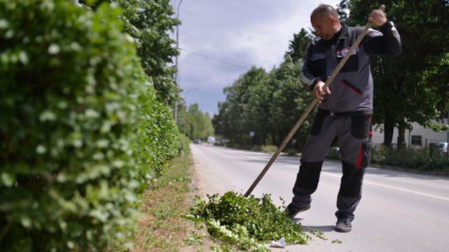 Në Ditën Botërore të Mjedisit pastrohet Kamenica