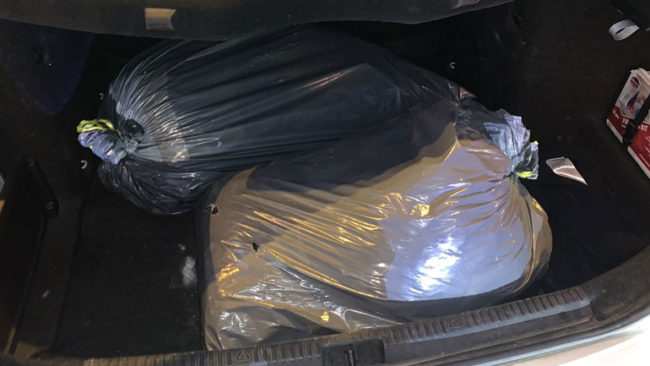 Policia e Kosovës zbulon mbi 20kg substancë narkotike e llojit marihuanë