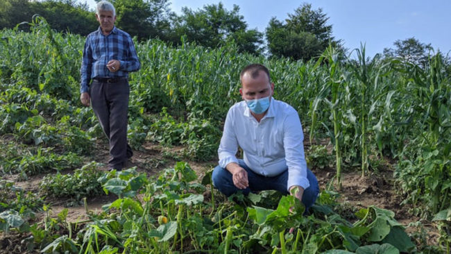 129 biznese individuale përfitojnë subvencione
