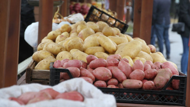 Shënohet “Dita e Patates”