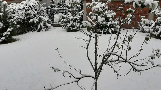 Nesër mot kryesisht i vranët dhe herë-herë me reshje shiu dhe bore
