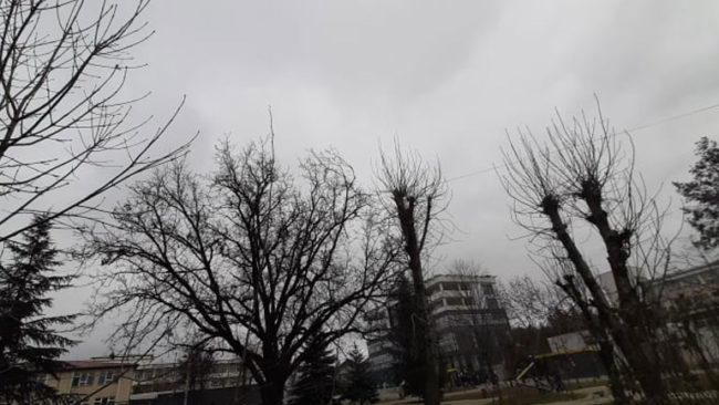 Parashikimi i motit