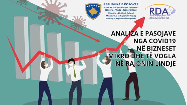 Analiza e pasojave nga COVID19 në bizneset mikro dhe të vogla në rajonin Lindje