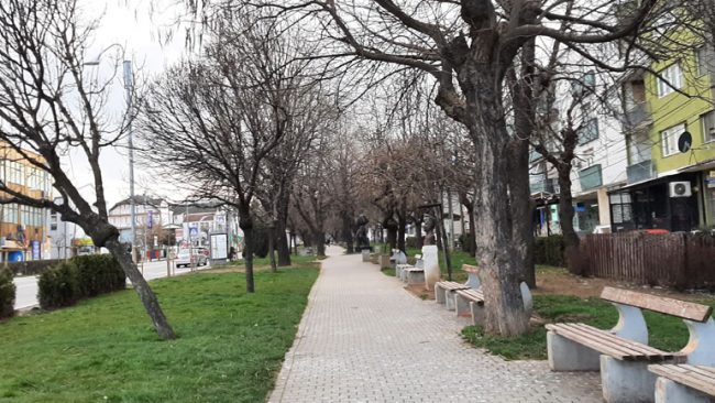 Parashikimi i motit