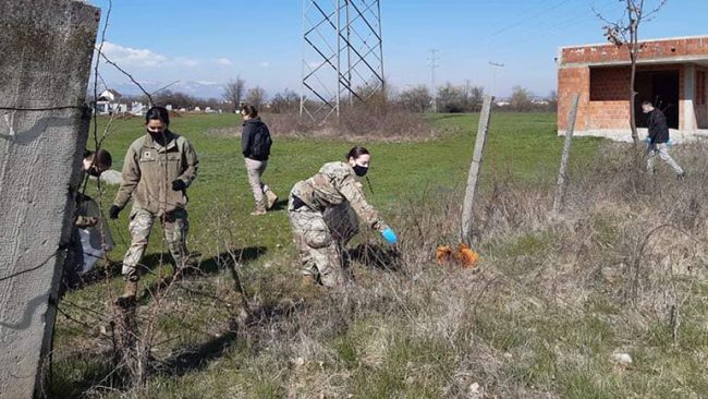 Pastrohet ambienti në varrezat e qytetit të Vitisë
