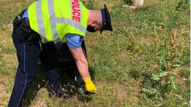 Policia e  Kosovës i bashkëngjitet aksionit  vullnetar për pastrimin e ambientit te lumi “Krivareka” në Kamenicë