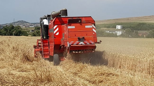 Kryetari Haziri në fushatën e korrje-shirjeve: Uroj që fermerët të ndahen të kënaqur me bereqetin që u ka dhënë Zoti