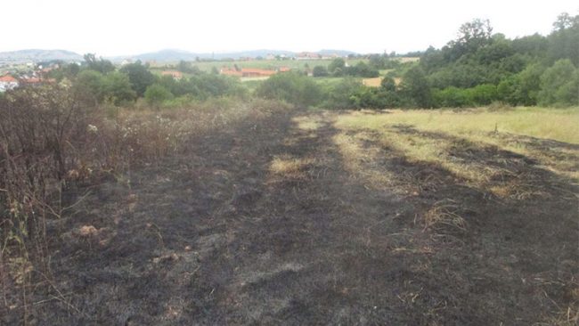 Burimi i zjarrit dyshohet të jetë nga një grumbull ilegal i mbeturinave