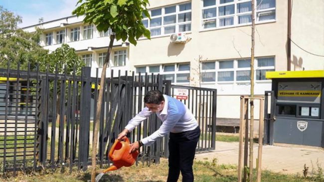 Nazim Gagica mbjellë drurin dekorativ në nderim te veteranëve të arsimit